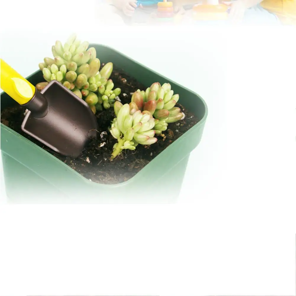 Пластиковые садовые инструменты 3 шт. суккулентный инструмент для посадки посадка цветка Лопата суккулентные инструменты для посадки