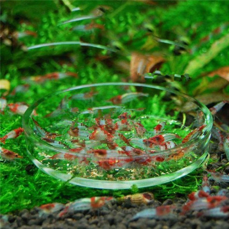 Прозрачное стекло кристалл креветки Кормление еда блюдо лоток подачи круглый контейнер аквариум Кормление тропических рыб миска