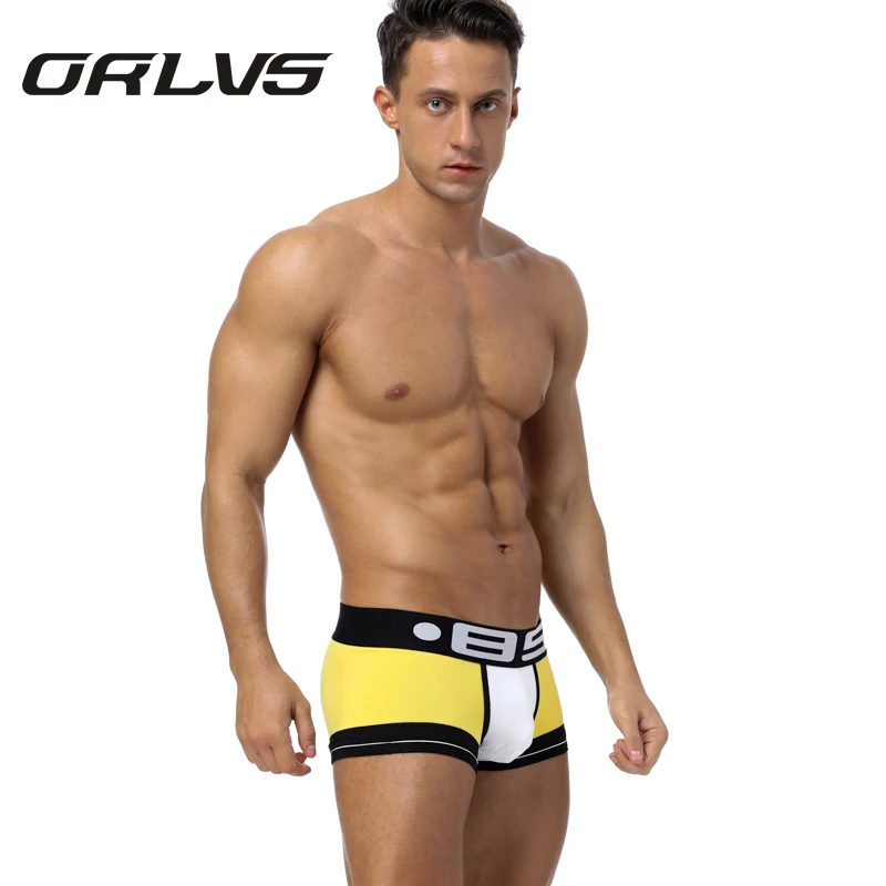 BS Boxer Мужское нижнее белье хлопковые мужские трусы сексуальные дышащие боксеры мягкие трусы-боксеры хлопок BS111