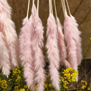 

20 pcs Dried flower wedding pampam bunch home decor small pampas reed grass dried natural plants bunch Customizable colors