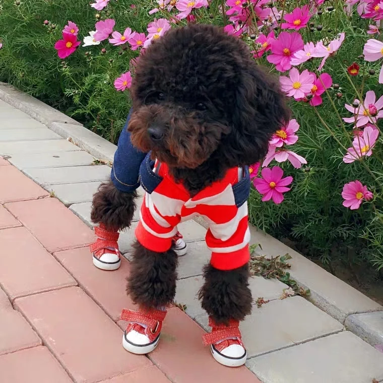 Классические туфли для собак, маленькие собачки чихуахуа, красные/коричневые/синие/черные джинсы, джинсовые парусиновые ботинки для собак