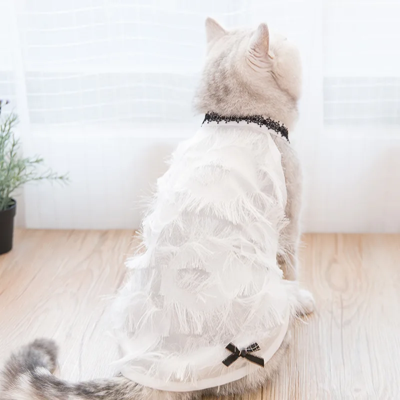 

Cat Clothes Pet Ropa Para Gato Ubranka Dla Kota Vetement Chat Vestidos Para Gatos Thin Princess Dress Cute Cat Skirt Fashion New