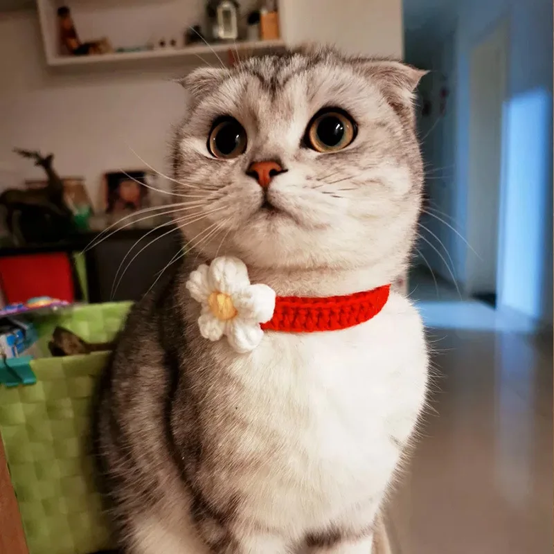 Hand Made Cat Collars Adjustable Puppy Collar Small Pet Accessories Edge Cats Kitten Kittens Supply Animal Supplie | Дом и сад