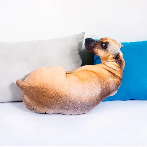 28" It's not a dog, just a throw pillow. Funny 3D dog print pillow creative  gift toys for children _ - AliExpress Mobile