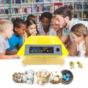 

48 Egg Incubator Digital Fully Automatic Mini Egg Hatching Turning Machine