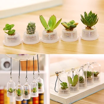 

1Pcs succulent Plant Keychains mini bonsai flower pot green plants micro landscape Mobile Phone Pendants bottle DIY Key Chain