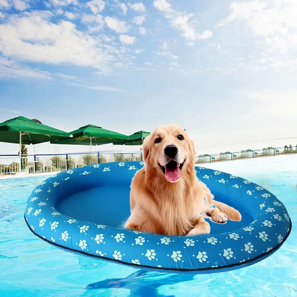 inflatable dog pool toy