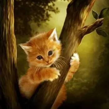 

5D DIY Diamond Painting kit Embroidery Cross Kit Arts Home Wall Decor Craft (Cat in Climbing the Tree)