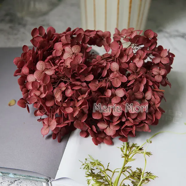 Anna Hydrangea  Flowers  Little  Leaves Preserved Hydrangea Decor  Office Decor  DIY Flowers Color S008