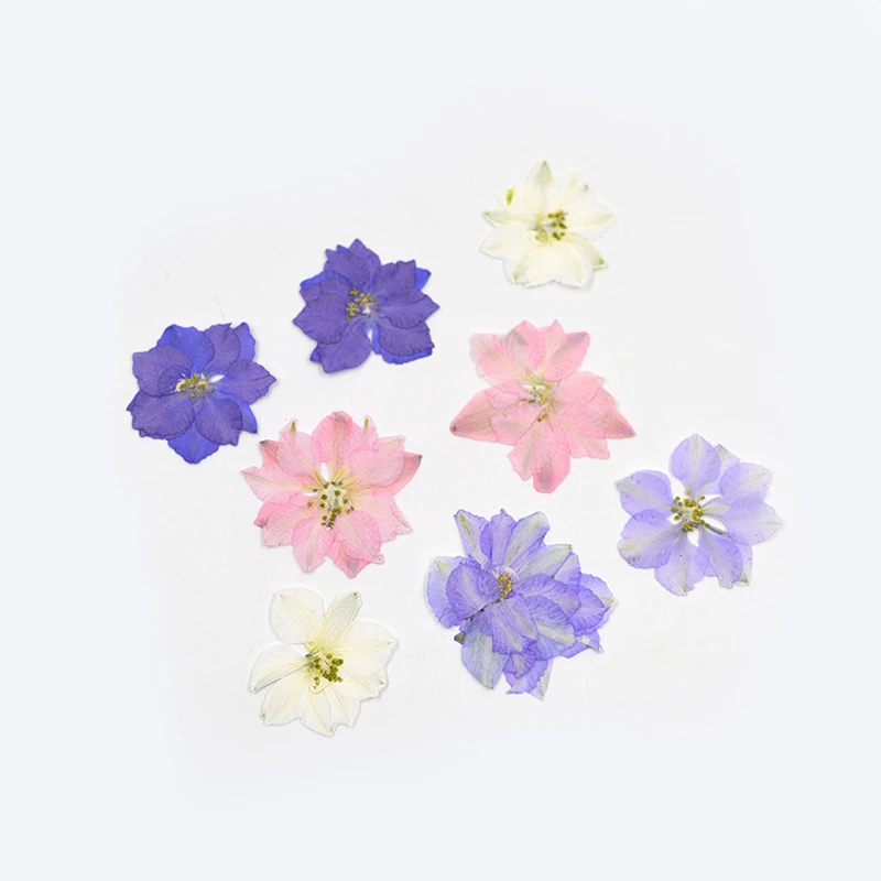 Цветок приглашение Feiyan цветы _ DIY прессованный высушенный цветы|flowers diy|flowers