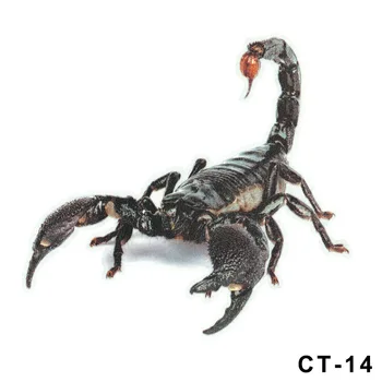 

100x 3D PVC Car Sticker Lizard Scorpion Spider Car Body Window Sticker Car Styling Decals