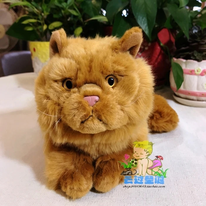 Мягкие игрушки подарок персидский кот чучело настоящая жизнь плюшевые игрушки подарок на день рождения куклы женские