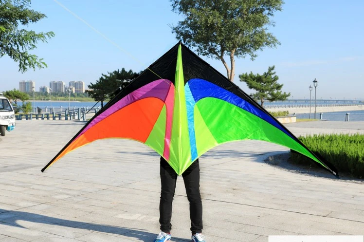 naaimachine opraken Roei uit kites fly easily in the breeze vlieger pipa voadora stunt kite flying  windsock parafoil delta kite pipas esportivas dual line|Kites &  Accessories| - AliExpress