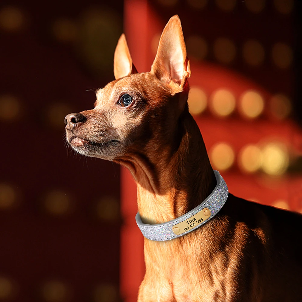 Personalized Yorkie Collar • Yorkies Gram