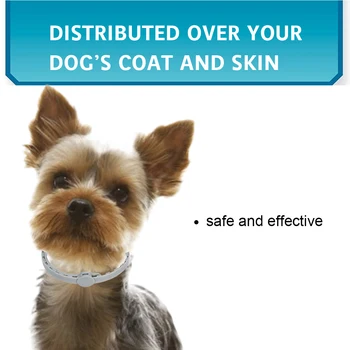 

New Dogs Flea and Tick Collar Treatment Prevention Natural Essential Oil Adjustable Waterproof 8 Months Protection Pet Collar
