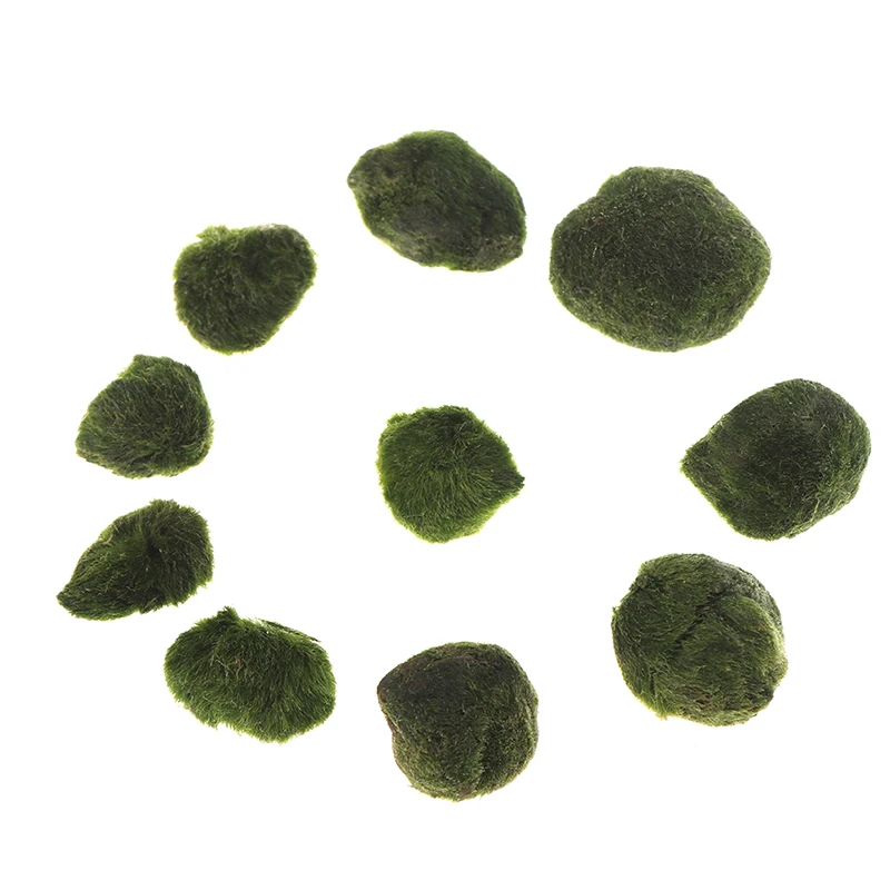 Comme pic - Boule de mousse Marimo 2CM-5CM, fausse pierre, Simulation ...