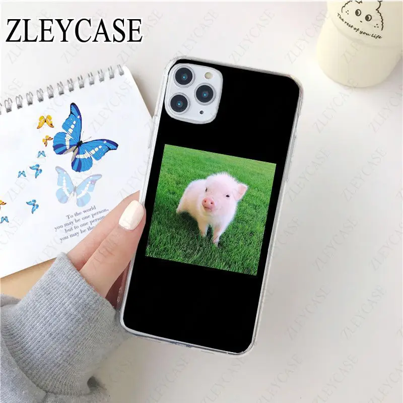 Cartoon funny Lovely Pink Pet Pig