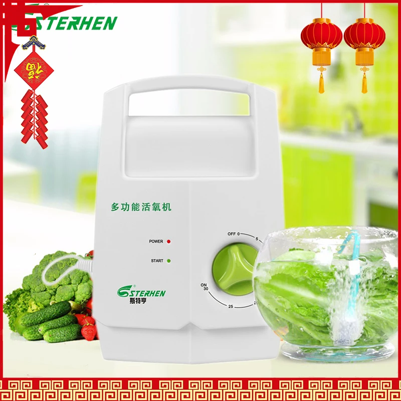 STERHEN ozone generator 220v O3 Timer Air Purifiers ozone purifier Vegetable and fruit washing machine Water Food Sterilizer