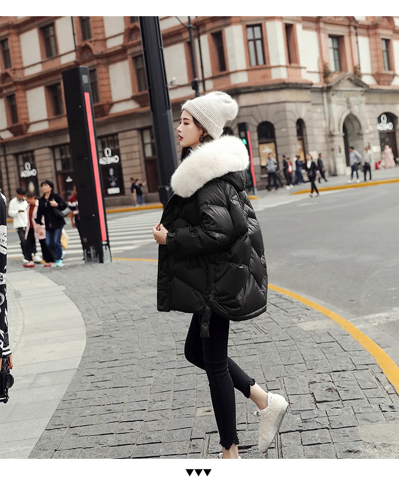 O1CN01tb8GTW1qOdNjKWGWV_!!737775486