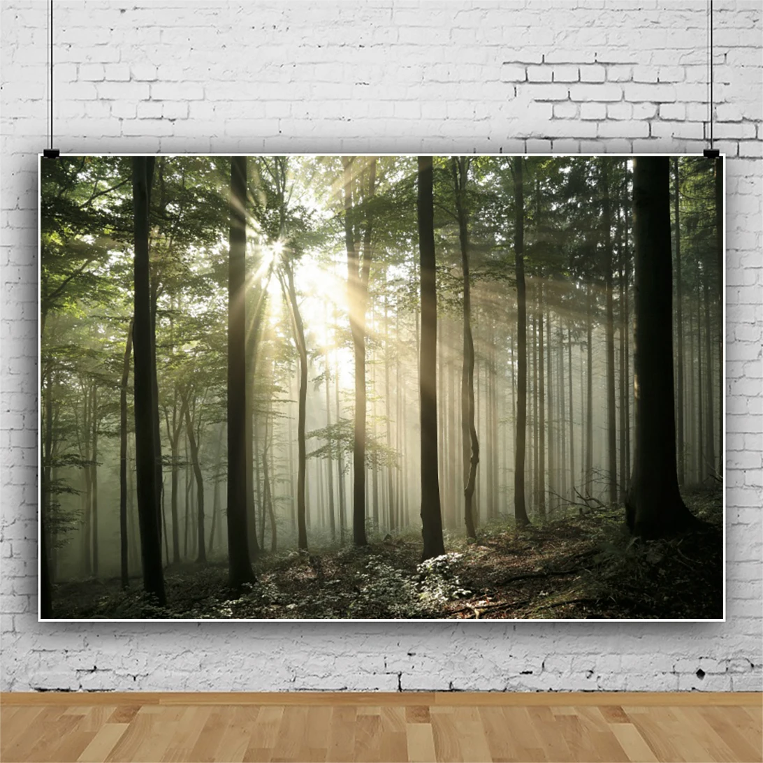 Sunshine Forest Scenic Photography Background Natrual Woods Trees Kids Portrait Backdrop Living Room Wall Poster Decor | Электроника