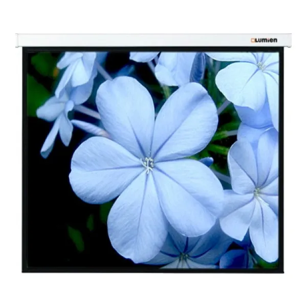 Экран Lumien Master Picture 180x180 (LMP-100103) | Электроника