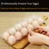 Blank Egg Cartons Bulk 5 Packs - Holds 12 Eggs 1 Dozen,  Reusable Plastic Egg Trays for Family Pasture Chicken Farm 5