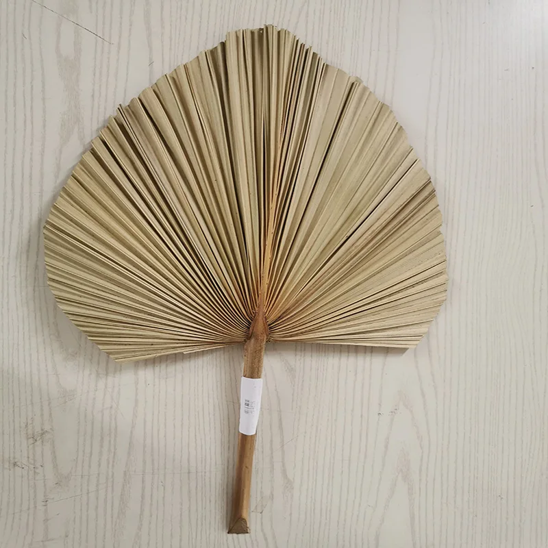 상품 이미지 2