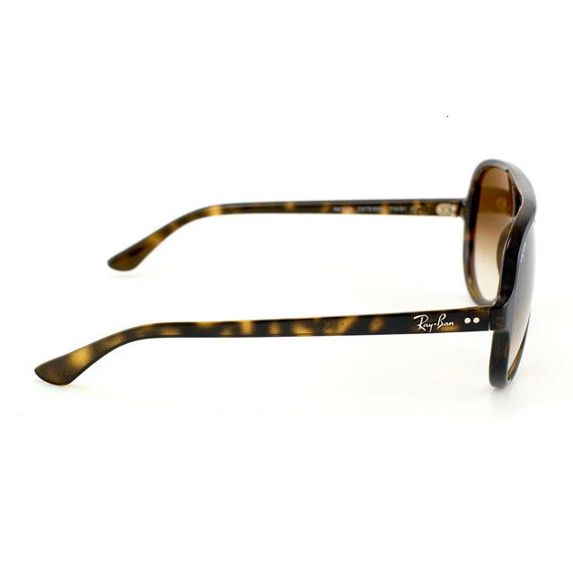 Gafas de sol Ray-Ban RB4125 кошки 5000 710/51 Гавана/CRISTAL MARRÓN DEGRADADO