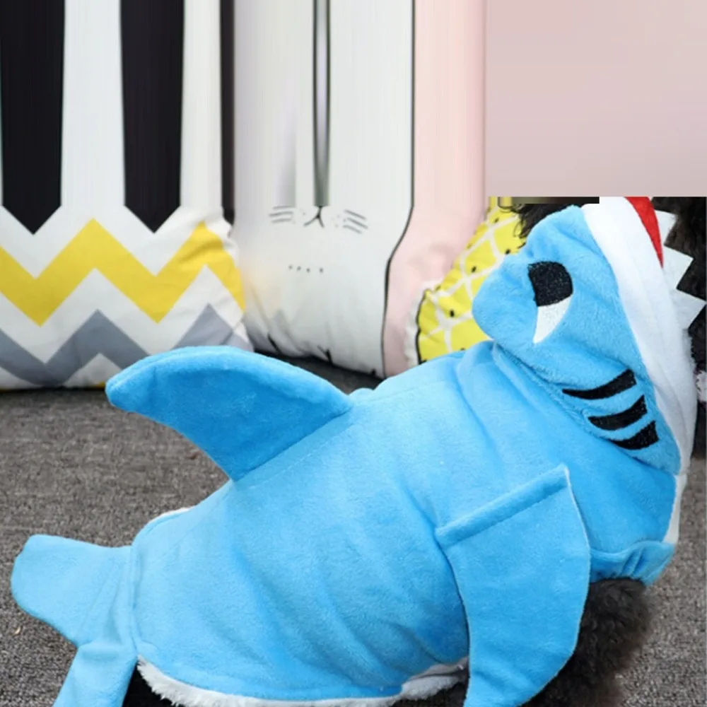 PLL91129519L_0514335373191123695