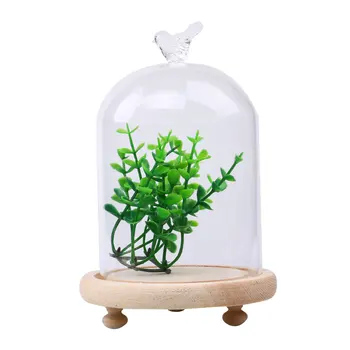 

Creative Transparent Display Glass-Cover Bird Vast Miniature Accessory