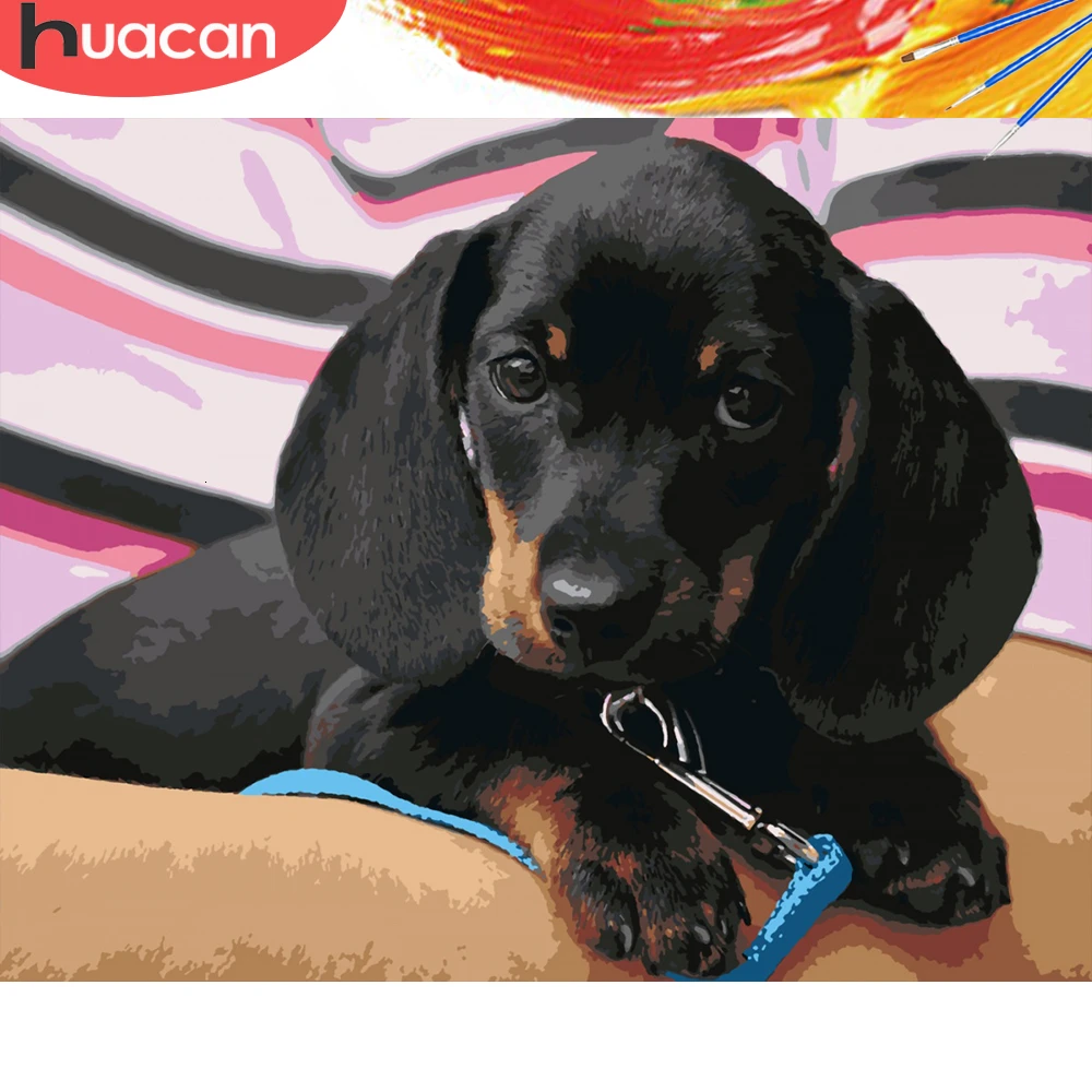 HUACAN картина по номерам животных масляная краска ing Dog набор акриловая на
