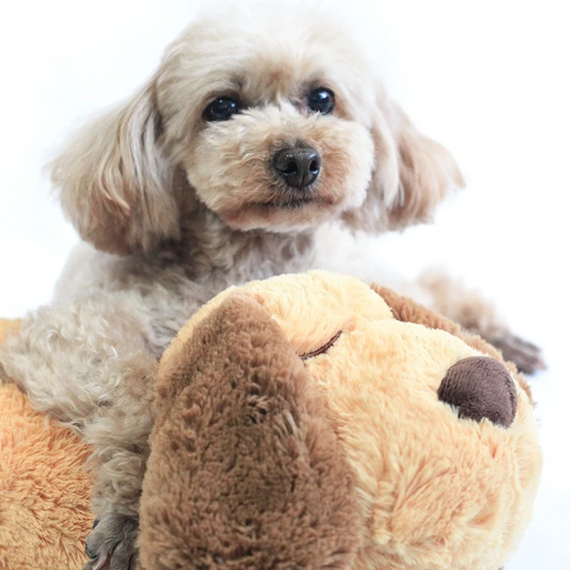 Stuffed Toy For Dog