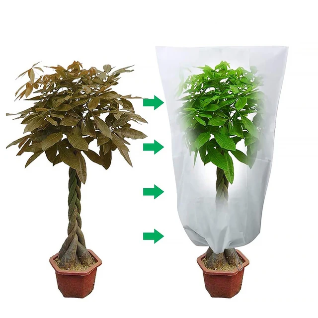 Juste de protection pour plante arbuste d'hiver, tissu anti-gel pour petit  arbre, plante en pot de jardin, outil froid, chaud, gril, proximité, sac à