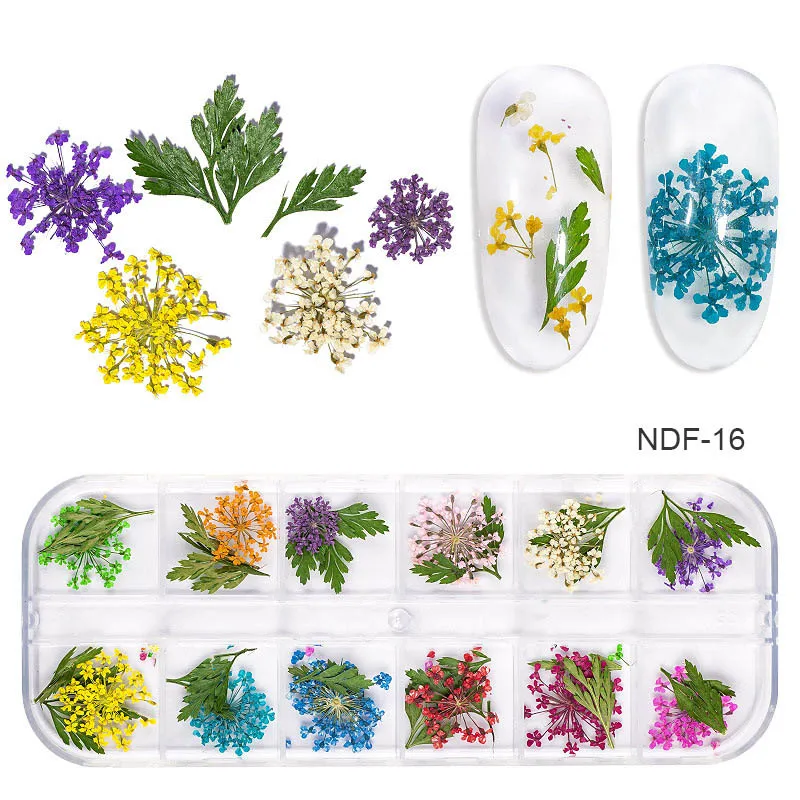NDF 16 3D натуральные ромашки Gypsophila женские модные аксессуары для маникюра 12 Сетка инструмент красоты украшение для ногтей сухие цветы лист наклейка - Цвет: NDF 16
