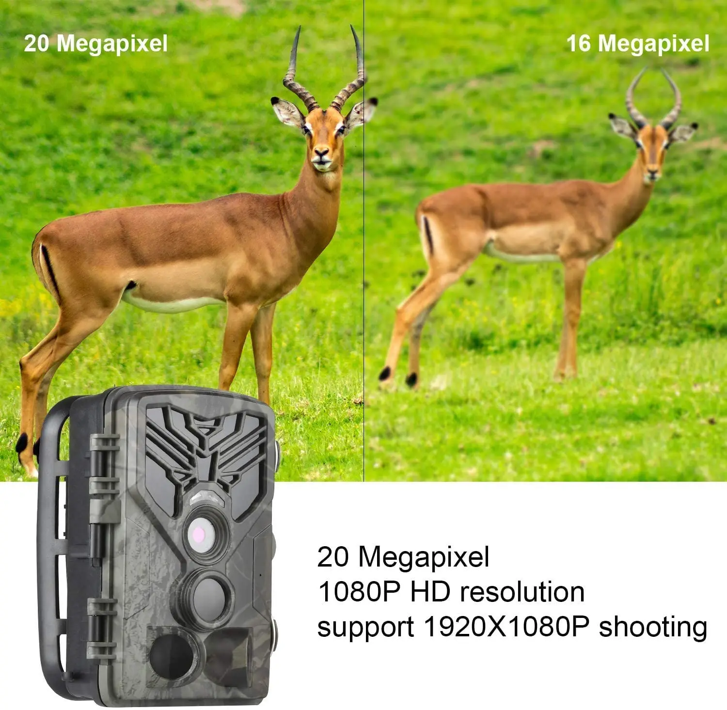 1080P 20MP HD Hunting Wildlife Camera Scouting Trail Cameras Wild Photo Traps PIR Motion Night Vision HC810A Cam Surveillance