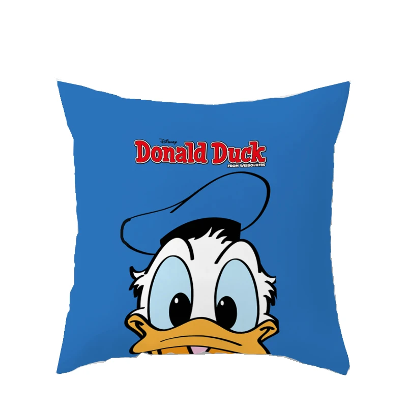 cushion cover (16)