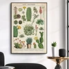Modern Cactus Succulents Canvas Painting Green Plant Flower Vintage Posters and Prints Wall Art for Living Room Decor Cuadros 3
