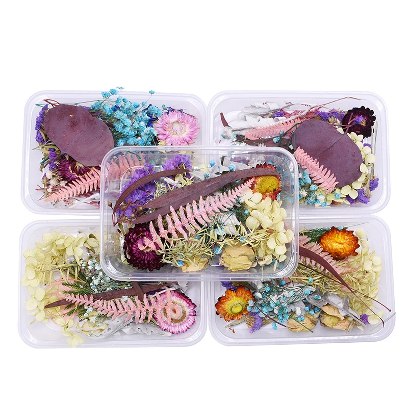 1 Box Assorted Mix Real Dried Flower Natural Dry Plants for Aromatherapy Candle Epoxy Resin Jewellery Making DIY Art Accessories