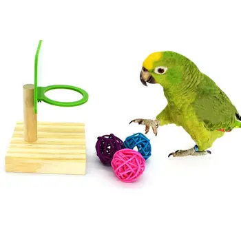 

1Set Pet Bird Chew Toys Parrot Basketball Hoop Prop Trick Tabletop Ring Mini Roller Skates Parakeet Intelligence Training Puzzle