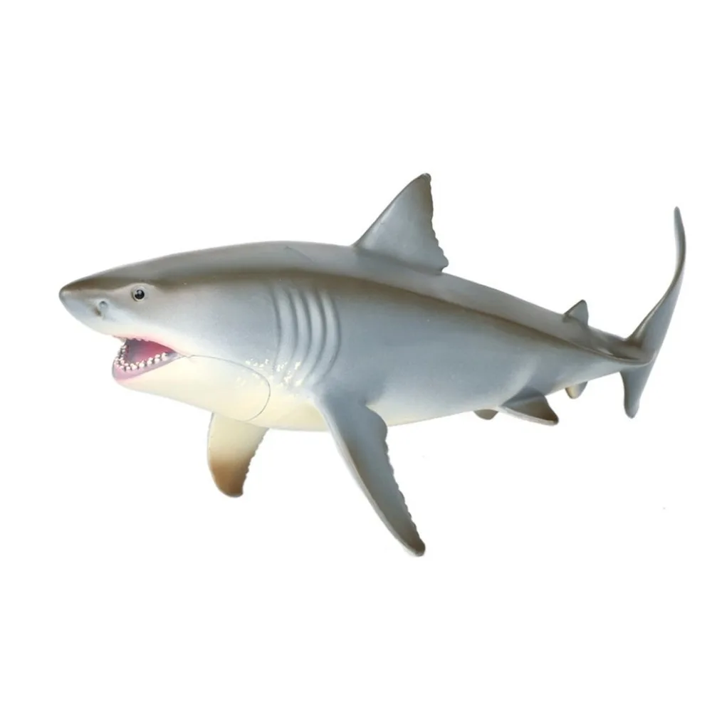 WY846700-C-20082506-1