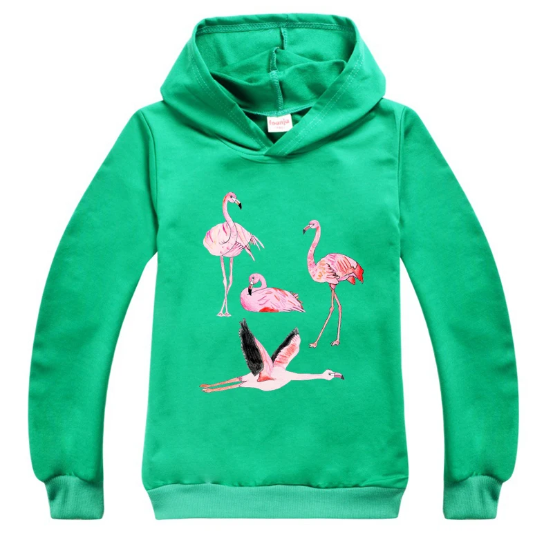 

Animal Print Flamingo Toddler Sweatshirt Fall Long Sleeve Boys Clothes Girl Hoodie Kids Sport Teen Children Baby Outfit