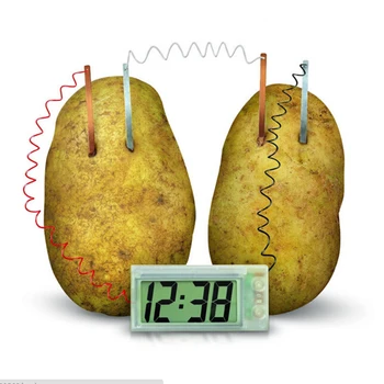 

Potato Clock Electrochemical Cell Experiment Material ,funny Novelty Home School Green Science Kit Educational DIY Material