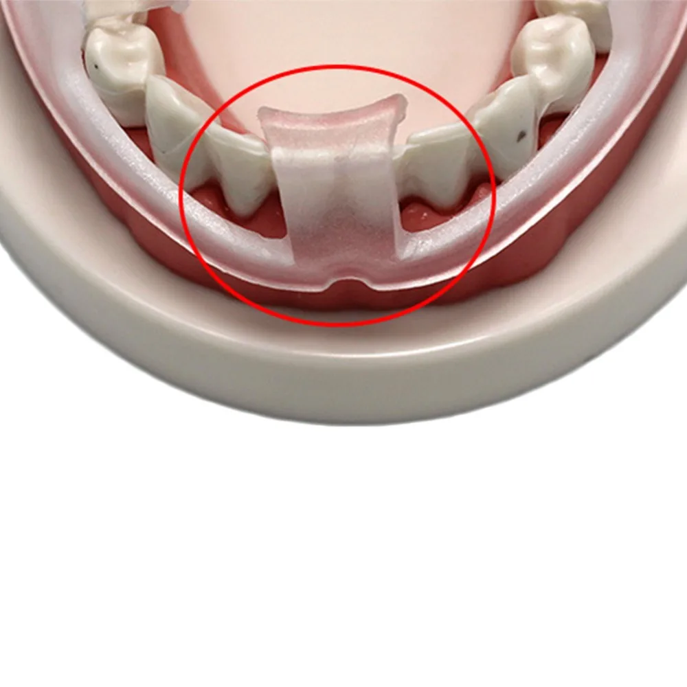 257321_no-logo_257321-1-08