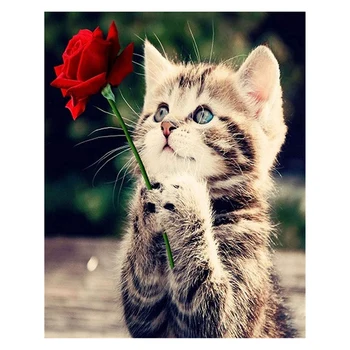 

Paint By Numbers Kits for Adult, DIY Canvas Painting for Adults Beginner-Flower Kitten