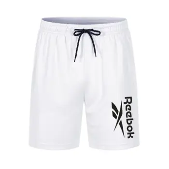 Men Mesh Casual Shorts for Summer