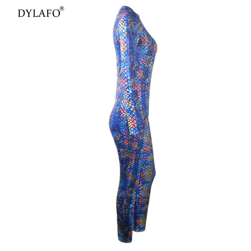 15724965906_1551297437