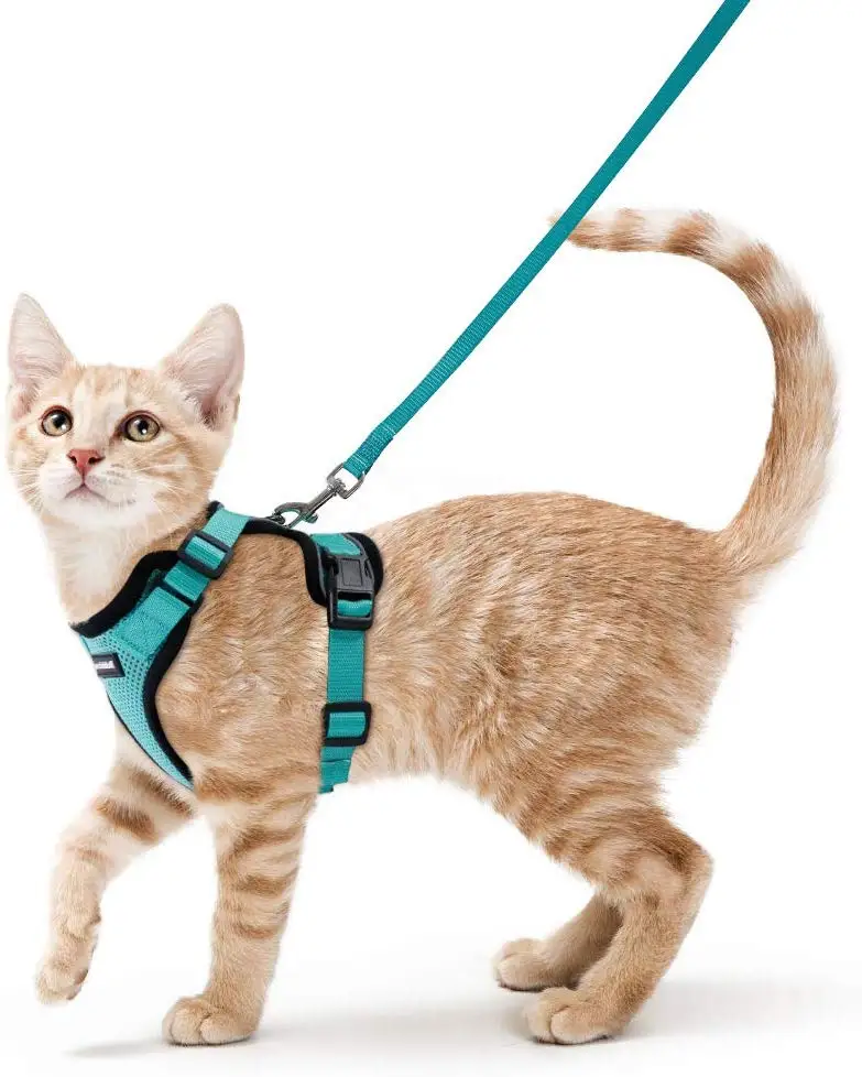 Поводок для маленьких питомцев, поводок для кошек, поводок для прогулок, длина 150 см, нейлоновый поводок для собак, легкий контроль, легкий прочный поводок для тренировки котенка с зажимом - Цвет: Зеленый