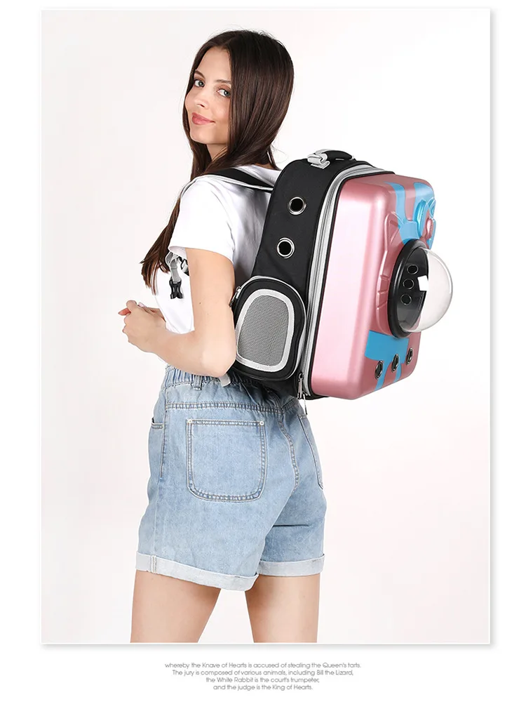 12355947045_1674681864