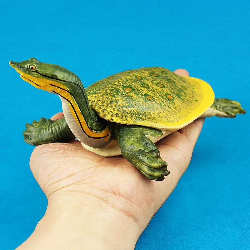 

Foreign Trade Model Soft-shelled Turtle Solid Plastic Wild Animal Model CHILDREN'S Toy Gift
