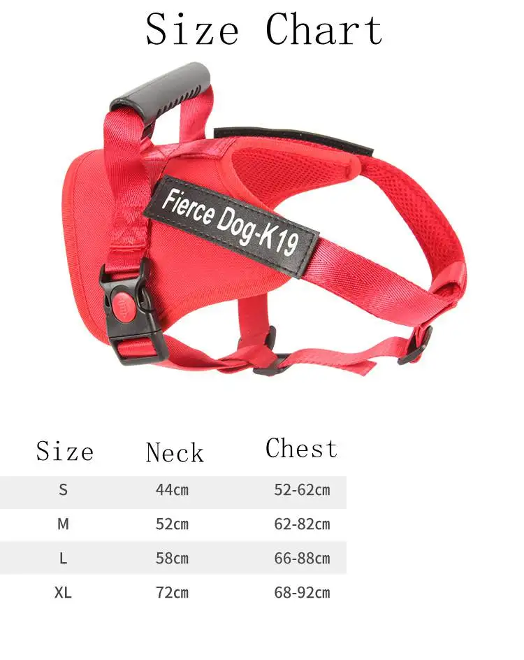 14416630408_1937179884